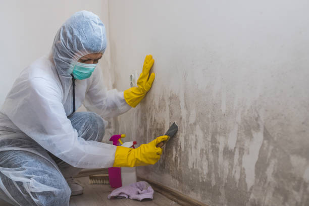 Best Biohazard Mold Removal  in Manatee Road, FL