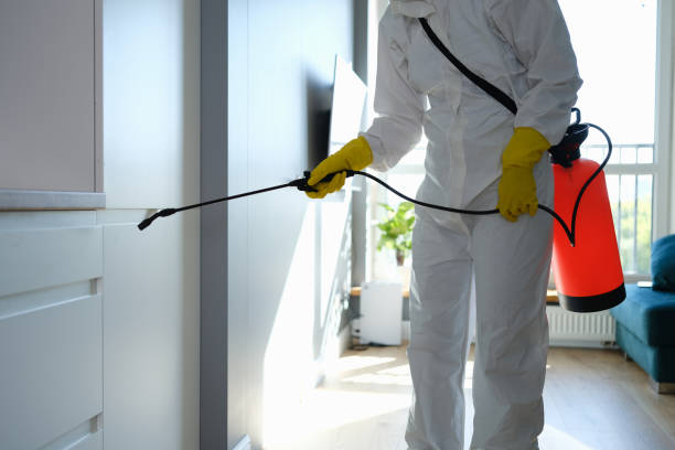 Manatee Road, FL Mold Removal Company