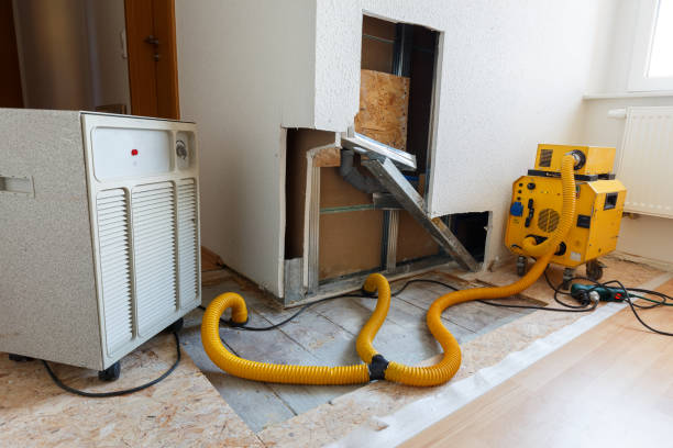 Best Mold Removal for HVAC Installations  in Manatee Road, FL