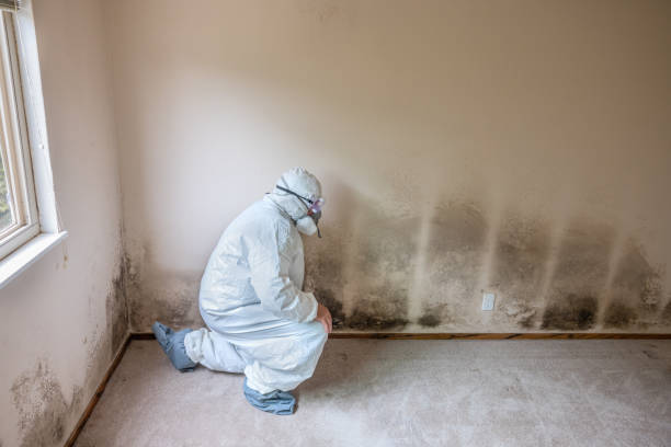 Best Commercial Mold Inspection  in Manatee Road, FL